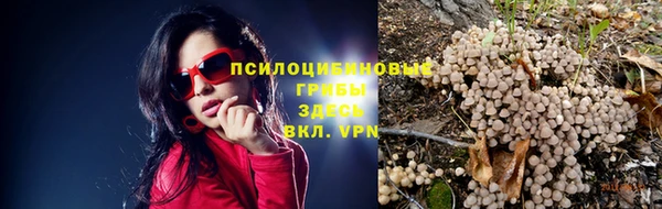 молекула духа Алексеевка